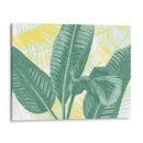Palms Ilustrados Ii - Grace Popp | Cuadro decorativo de Canvas Lab