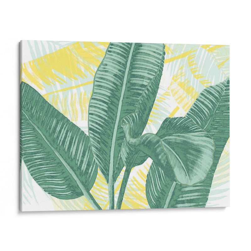 Palms Ilustrados Ii - Grace Popp | Cuadro decorativo de Canvas Lab