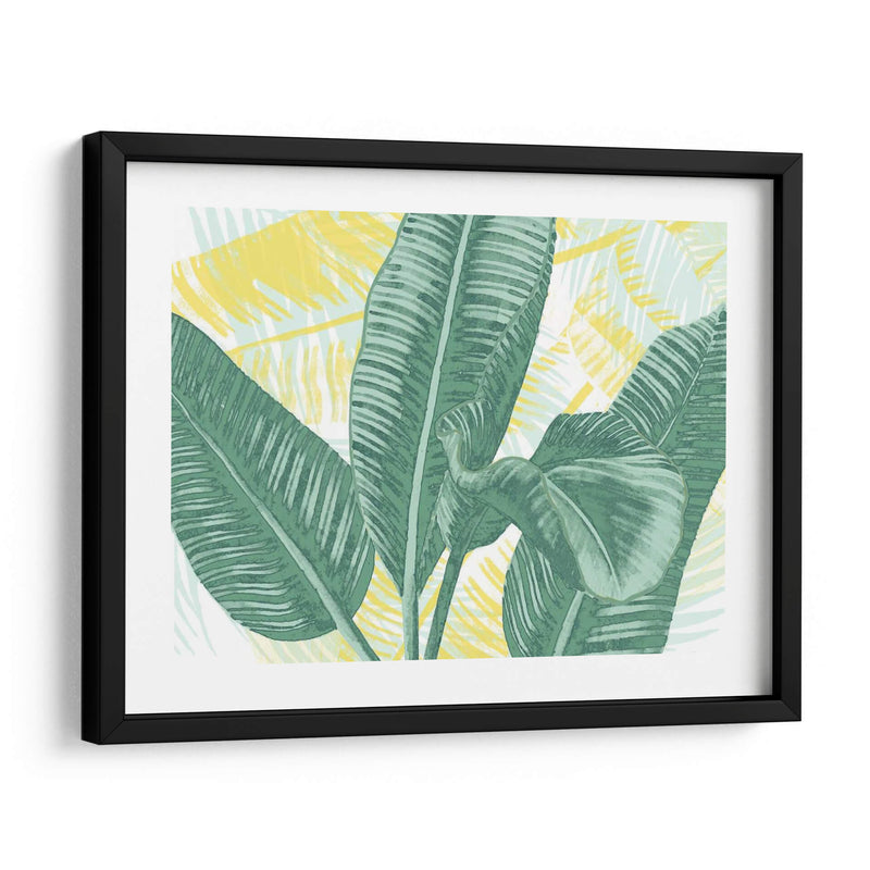 Palms Ilustrados Ii - Grace Popp | Cuadro decorativo de Canvas Lab