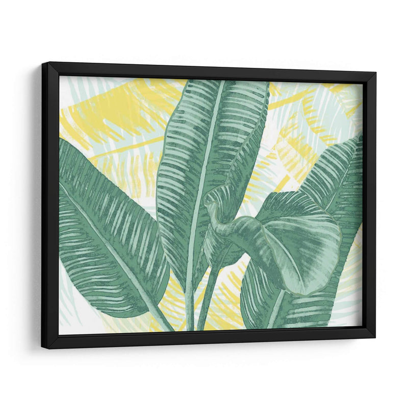 Palms Ilustrados Ii - Grace Popp | Cuadro decorativo de Canvas Lab