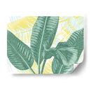 Palms Ilustrados Ii - Grace Popp | Cuadro decorativo de Canvas Lab