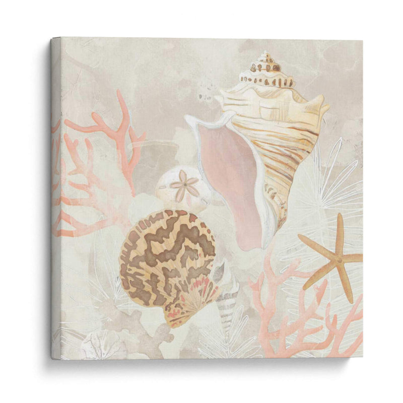 Colector De Concha Fresco I - June Erica Vess | Cuadro decorativo de Canvas Lab