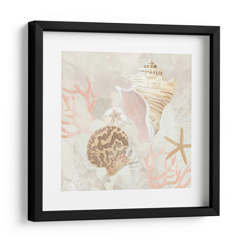 Colector De Concha Fresco I - June Erica Vess | Cuadro decorativo de Canvas Lab