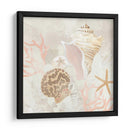 Colector De Concha Fresco I - June Erica Vess | Cuadro decorativo de Canvas Lab
