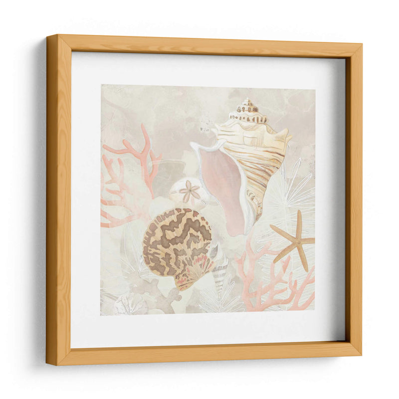 Colector De Concha Fresco I - June Erica Vess | Cuadro decorativo de Canvas Lab