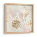 Colector De Concha Fresco I - June Erica Vess | Cuadro decorativo de Canvas Lab