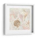 Colector De Concha Fresco I - June Erica Vess | Cuadro decorativo de Canvas Lab
