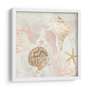Colector De Concha Fresco I - June Erica Vess | Cuadro decorativo de Canvas Lab
