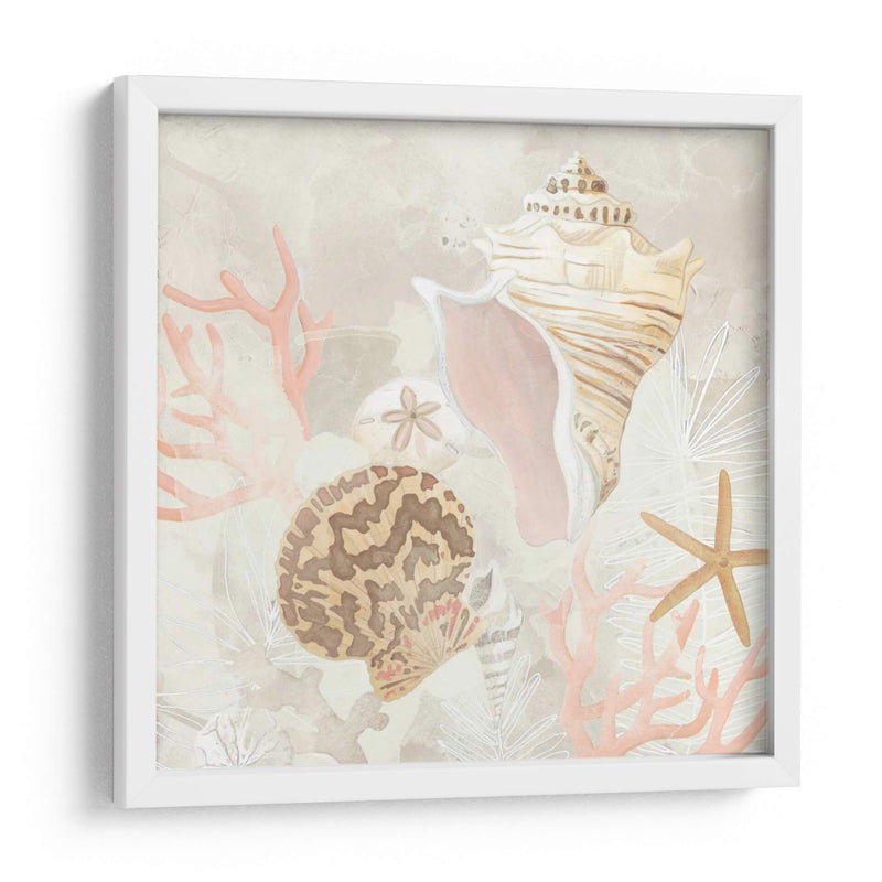 Colector De Concha Fresco I - June Erica Vess | Cuadro decorativo de Canvas Lab