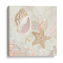Colector De Concha Fresco Ii - June Erica Vess | Cuadro decorativo de Canvas Lab