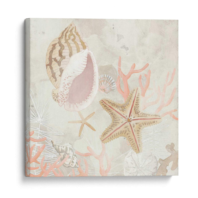 Colector De Concha Fresco Ii - June Erica Vess | Cuadro decorativo de Canvas Lab