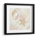 Colector De Concha Fresco Ii - June Erica Vess | Cuadro decorativo de Canvas Lab