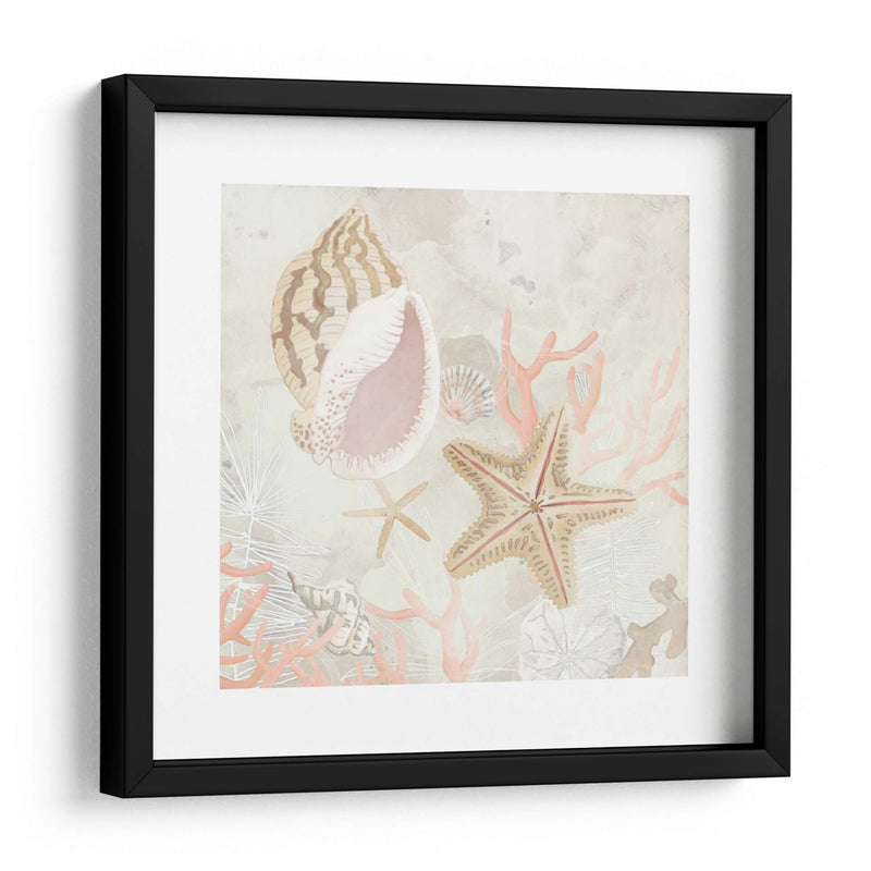 Colector De Concha Fresco Ii - June Erica Vess | Cuadro decorativo de Canvas Lab