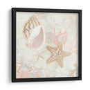 Colector De Concha Fresco Ii - June Erica Vess | Cuadro decorativo de Canvas Lab