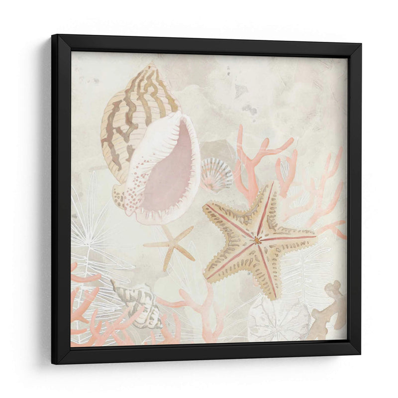 Colector De Concha Fresco Ii - June Erica Vess | Cuadro decorativo de Canvas Lab