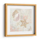 Colector De Concha Fresco Ii - June Erica Vess | Cuadro decorativo de Canvas Lab