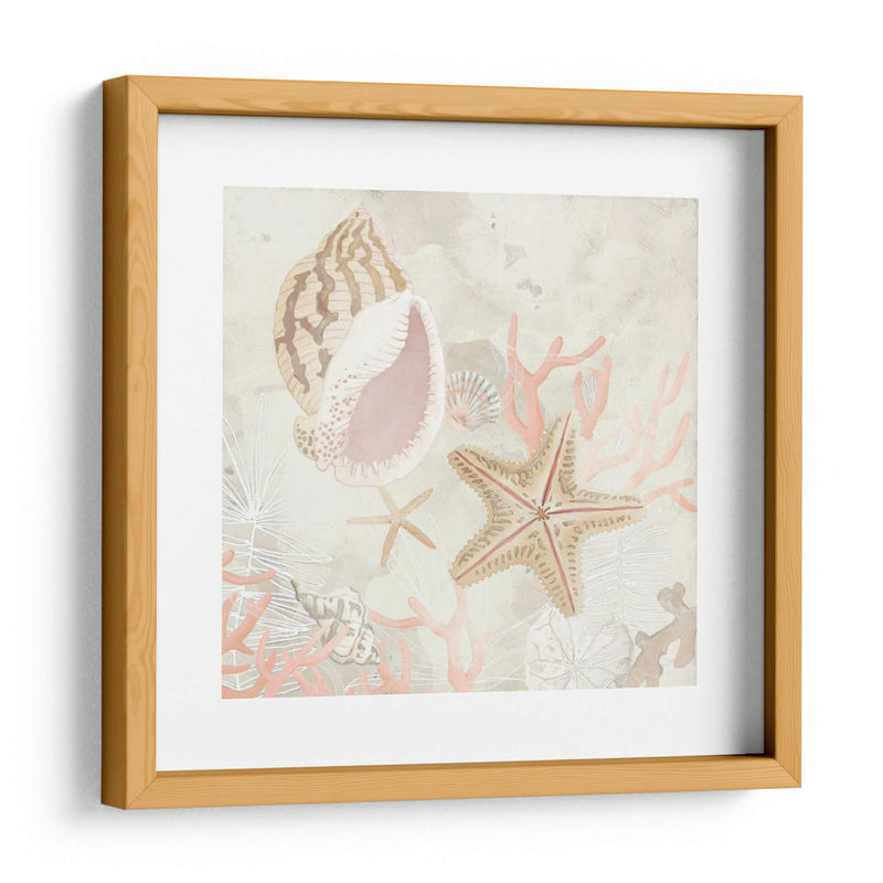 Colector De Concha Fresco Ii - June Erica Vess | Cuadro decorativo de Canvas Lab