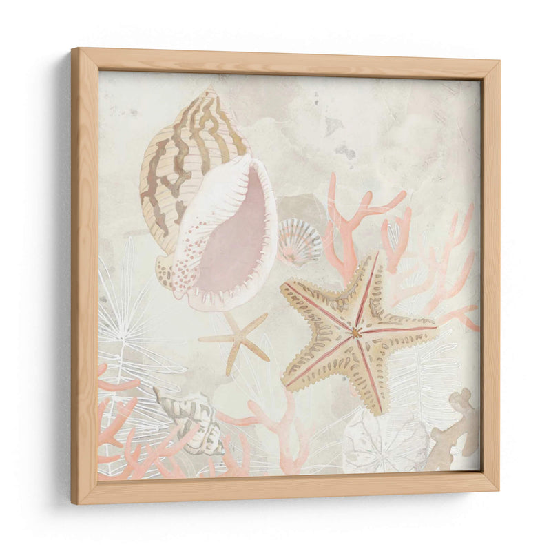 Colector De Concha Fresco Ii - June Erica Vess | Cuadro decorativo de Canvas Lab
