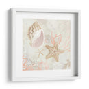 Colector De Concha Fresco Ii - June Erica Vess | Cuadro decorativo de Canvas Lab
