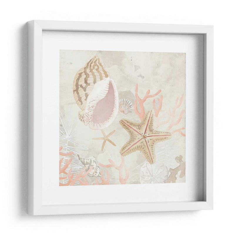 Colector De Concha Fresco Ii - June Erica Vess | Cuadro decorativo de Canvas Lab