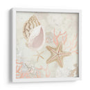 Colector De Concha Fresco Ii - June Erica Vess | Cuadro decorativo de Canvas Lab