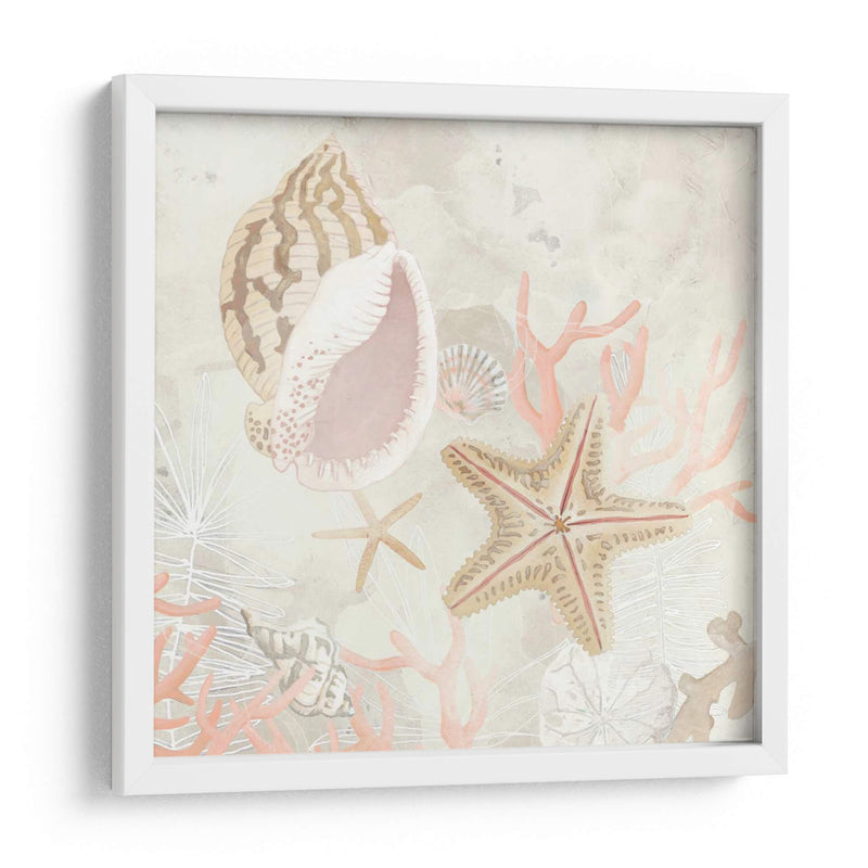 Colector De Concha Fresco Ii - June Erica Vess | Cuadro decorativo de Canvas Lab