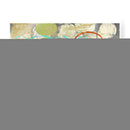 Oculus Orbs Ii - Jennifer Goldberger | Cuadro decorativo de Canvas Lab