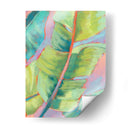 Hojas De Palma Vibrante Ii - Jennifer Goldberger | Cuadro decorativo de Canvas Lab