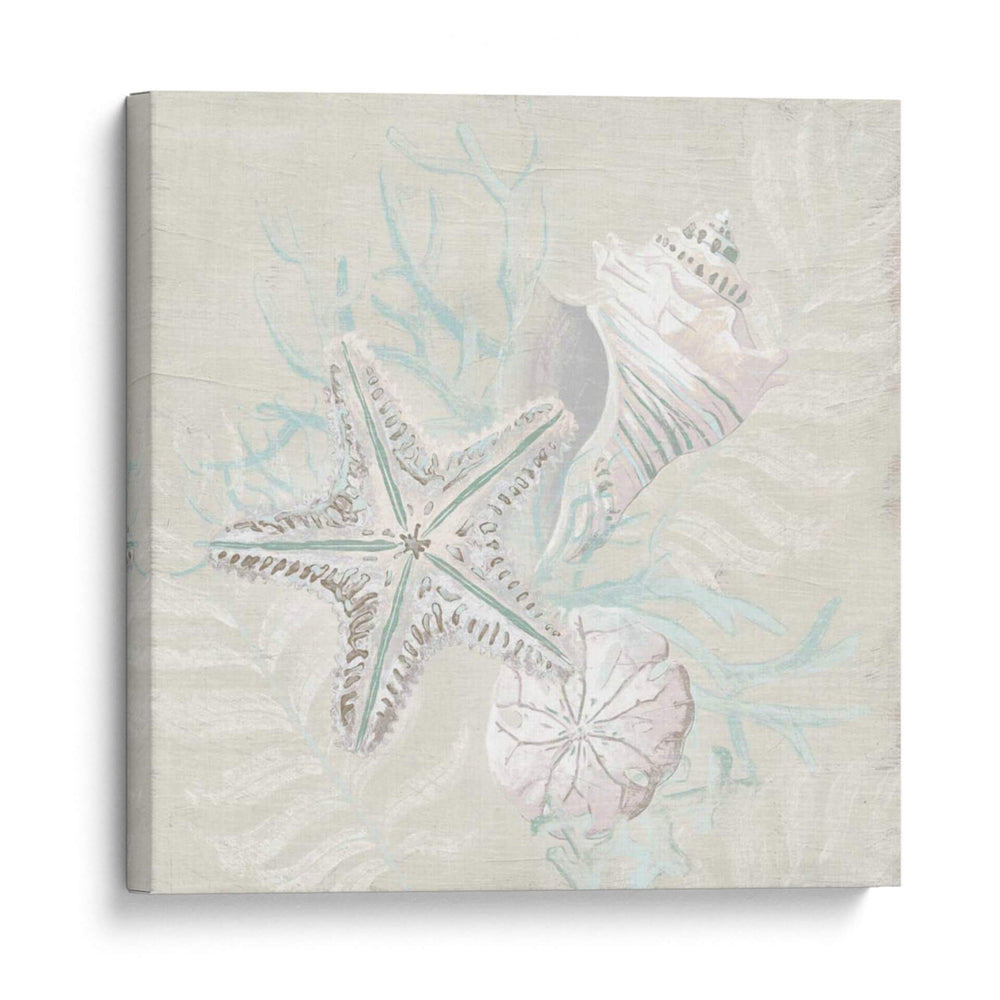 Sketch Shell Degradado I - June Erica Vess | Cuadro decorativo de Canvas Lab