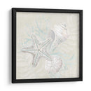 Sketch Shell Degradado I - June Erica Vess | Cuadro decorativo de Canvas Lab