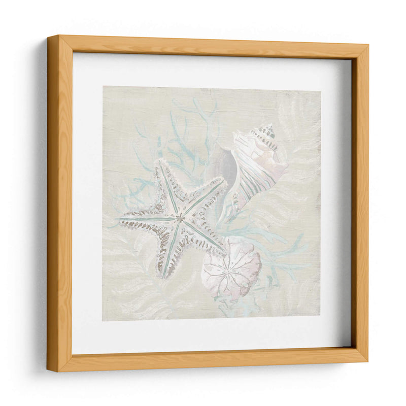 Sketch Shell Degradado I - June Erica Vess | Cuadro decorativo de Canvas Lab