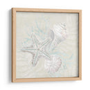 Sketch Shell Degradado I - June Erica Vess | Cuadro decorativo de Canvas Lab