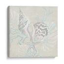 Sketch Shell Degradado Ii - June Erica Vess | Cuadro decorativo de Canvas Lab