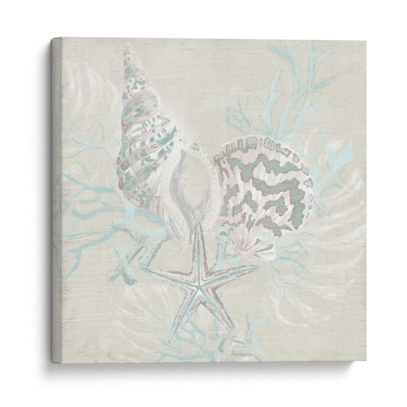 Sketch Shell Degradado Ii - June Erica Vess | Cuadro decorativo de Canvas Lab