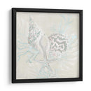 Sketch Shell Degradado Ii - June Erica Vess | Cuadro decorativo de Canvas Lab