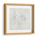 Sketch Shell Degradado Ii - June Erica Vess | Cuadro decorativo de Canvas Lab