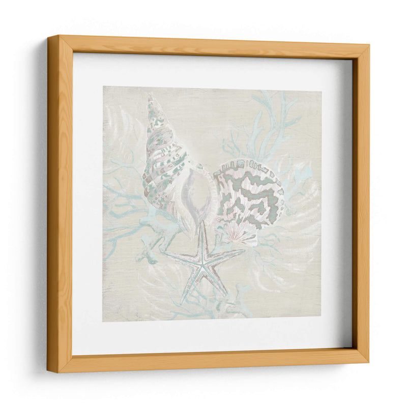 Sketch Shell Degradado Ii - June Erica Vess | Cuadro decorativo de Canvas Lab