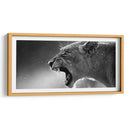 Rugido de la leona | Cuadro decorativo de Canvas Lab