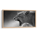 Rugido de la leona | Cuadro decorativo de Canvas Lab