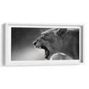 Rugido de la leona | Cuadro decorativo de Canvas Lab