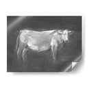 Estudio De Carbón Bovino I - Ethan Harper | Cuadro decorativo de Canvas Lab