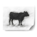 Estudio Bovino De Carbón Ii - Ethan Harper | Cuadro decorativo de Canvas Lab