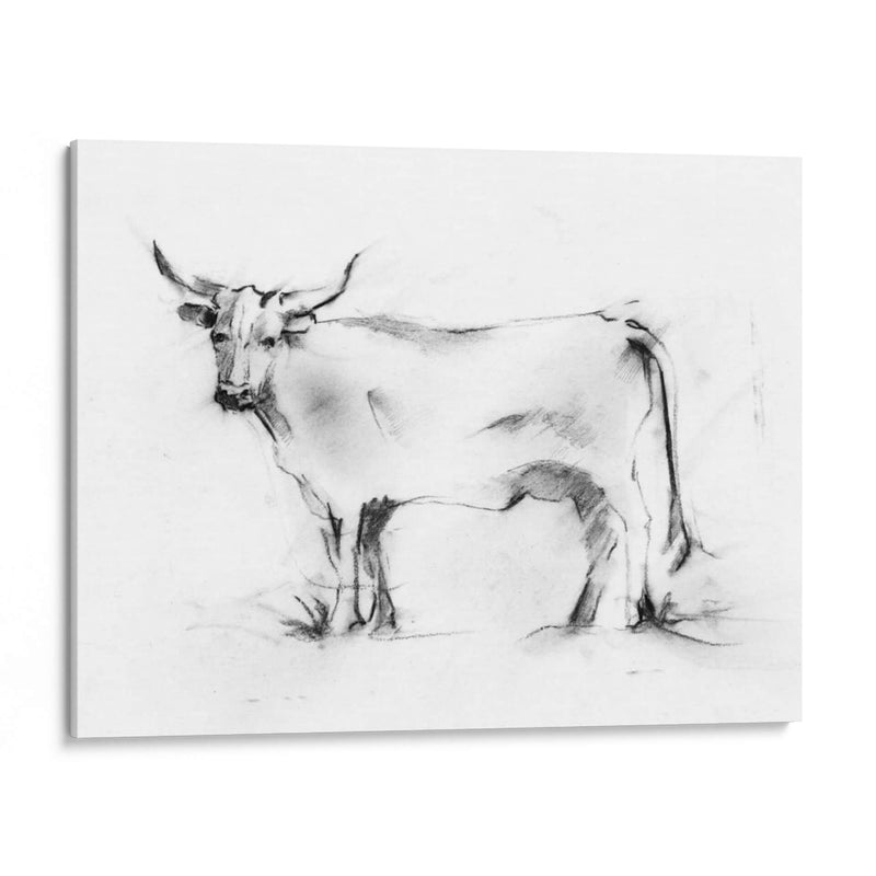Charcoal Bovine Study Iii - Ethan Harper | Cuadro decorativo de Canvas Lab