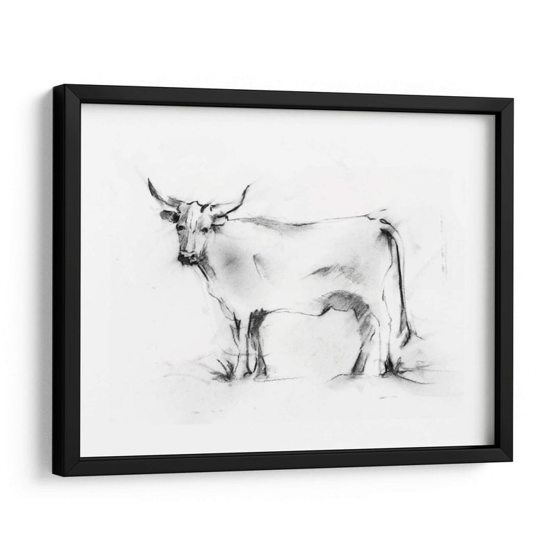 Charcoal Bovine Study Iii - Ethan Harper | Cuadro decorativo de Canvas Lab