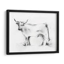 Charcoal Bovine Study Iii - Ethan Harper | Cuadro decorativo de Canvas Lab