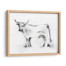 Charcoal Bovine Study Iii - Ethan Harper | Cuadro decorativo de Canvas Lab