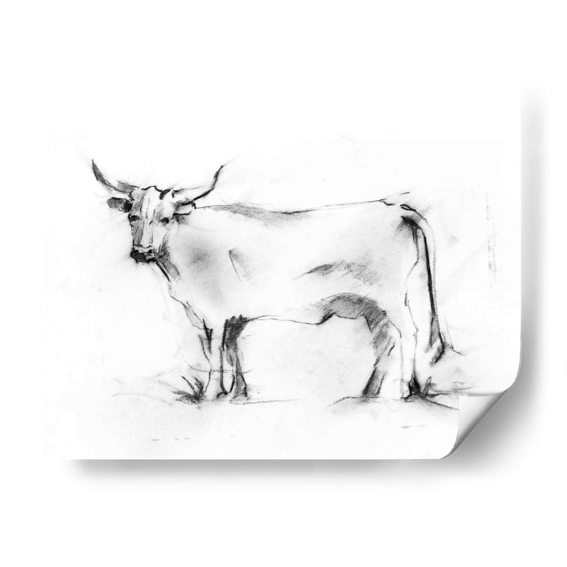 Charcoal Bovine Study Iii - Ethan Harper | Cuadro decorativo de Canvas Lab