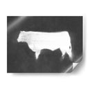 Charcoal Bovine Study Iv - Ethan Harper | Cuadro decorativo de Canvas Lab