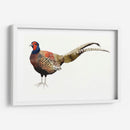 Faisán De Acuarela Ii - Grace Popp | Cuadro decorativo de Canvas Lab
