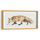 Zorro Trote I - Grace Popp | Cuadro decorativo de Canvas Lab